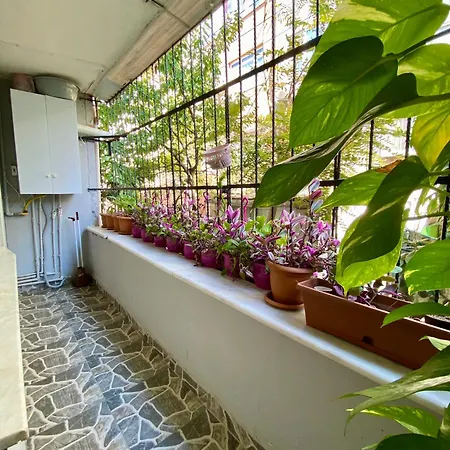 Kwatera prywatna For Rent In Fatih Stambuł